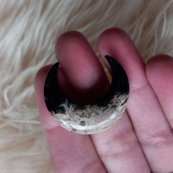 Petrified Wood Moons - Picture 3 of 6